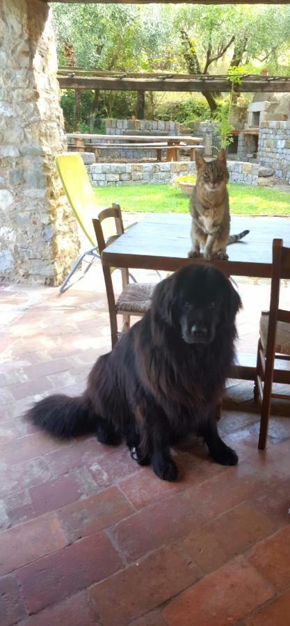 Pieve a Nievole La Corte Del Falco מראה חיצוני תמונה