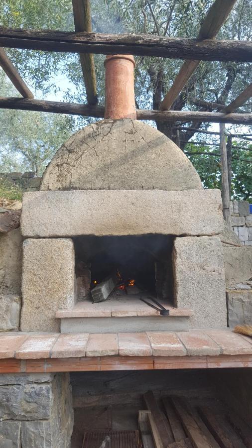 Pieve a Nievole La Corte Del Falco מראה חיצוני תמונה